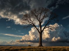Entender la diferencia entre clima y tiempo: explicaciones simples y claras Entender la diferencia entre clima y tiempo: explicaciones simples y claras